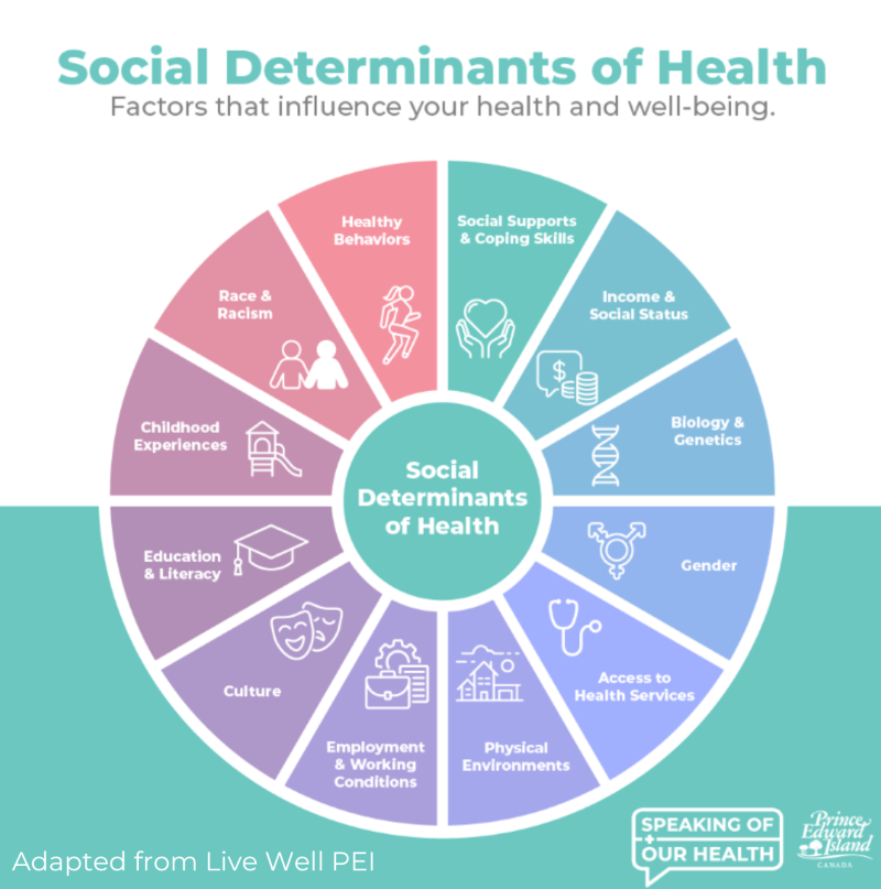 Speaking Of Our Health Campaign Women And Gender Diverse People s speaking-of-our-health-campaign-women-and-gender-diverse-people-s